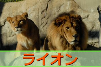 Thumbnail of post image 150